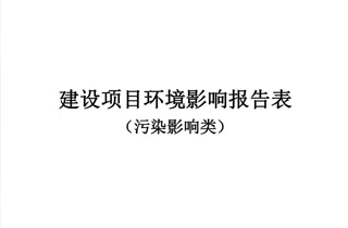 建設(shè)項(xiàng)目環(huán)境影響報(bào)告表（污染影響類）